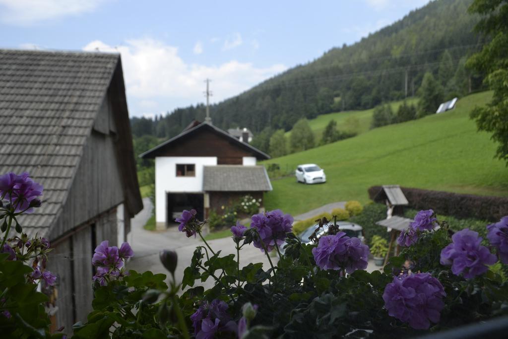 Appartamento Haus Tonelehof Dellach im Drautal Esterno foto