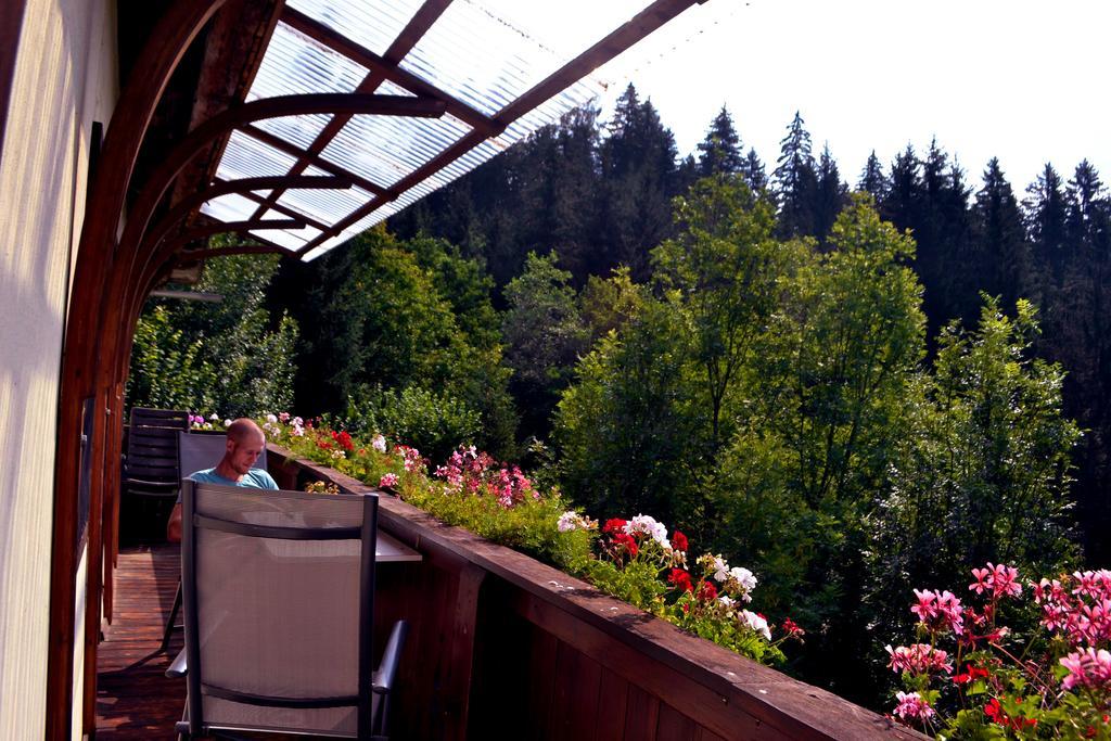 Appartamento Haus Tonelehof Dellach im Drautal Esterno foto