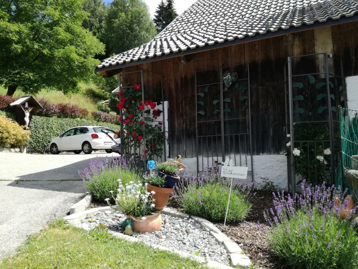 Appartamento Haus Tonelehof Dellach im Drautal Esterno foto