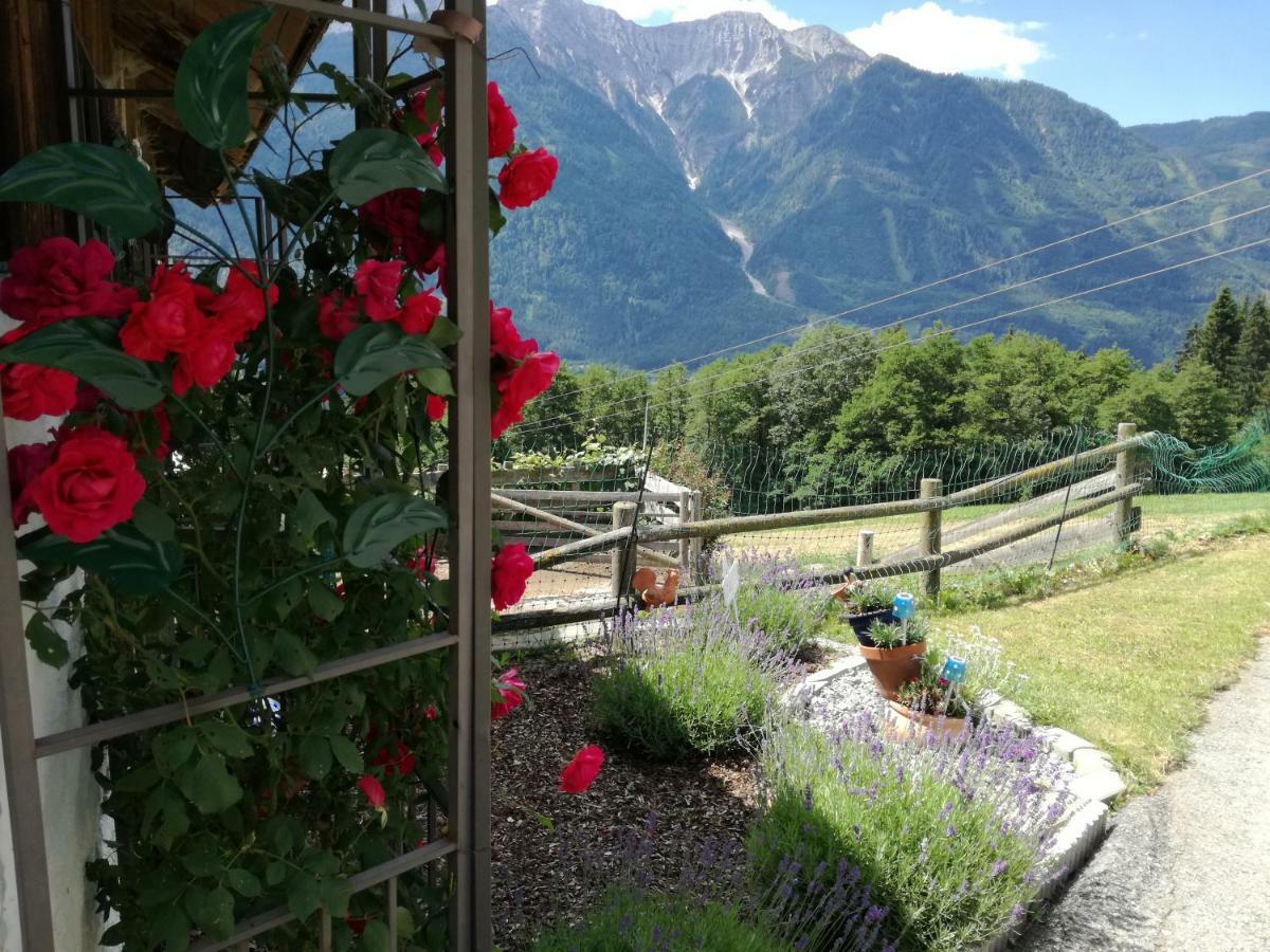 Appartamento Haus Tonelehof Dellach im Drautal Esterno foto